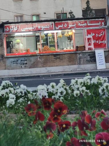 عکس ویتامینه پردیس