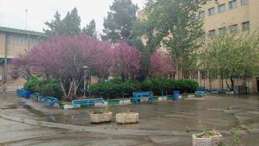 دانشگاه آزاد اسلامی واحد تهران جنوب (دانشکده فنی)