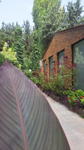 عکس دبستان باغ خرد