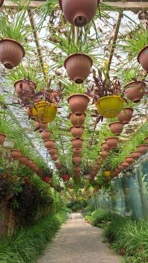 عکس دبستان باغ خرد