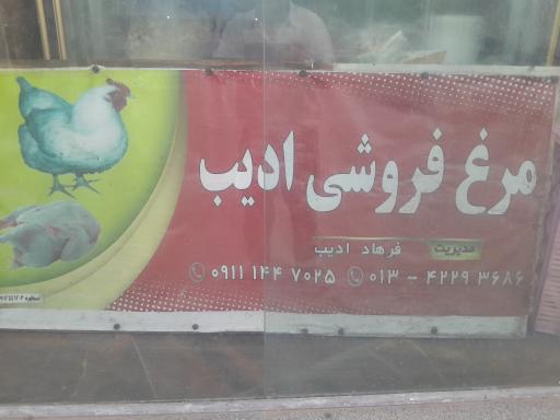 عکس فروشگاه مرغ ادیب