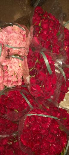 عکس گلخانه دهقان