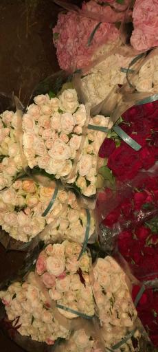 عکس گلخانه دهقان