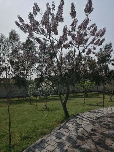 عکس پارک بانوان