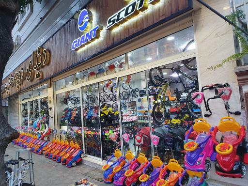 عکس دنیای دوچرخه یوسفی