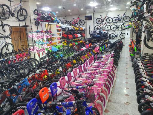 عکس دنیای دوچرخه یوسفی