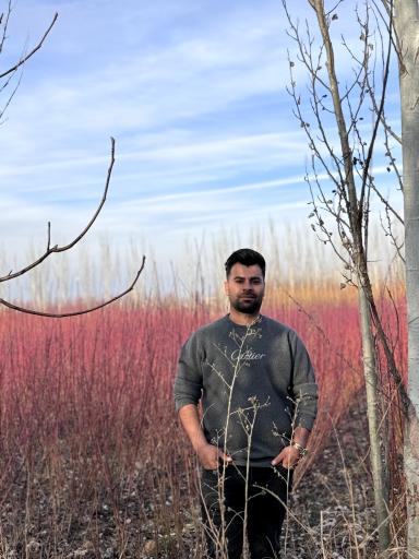 عکس نهالستان نهالوند