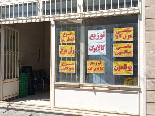 عکس مرغ و ماهی احمدی 
