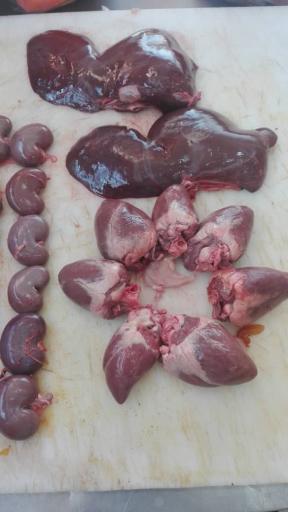 عکس کبابی رشیدی 