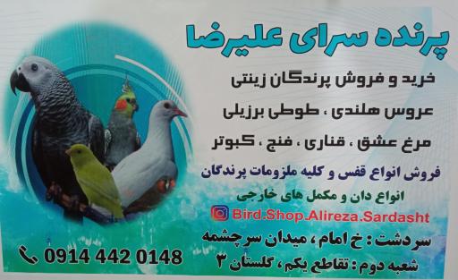عکس پرنده سرای علیرضا 