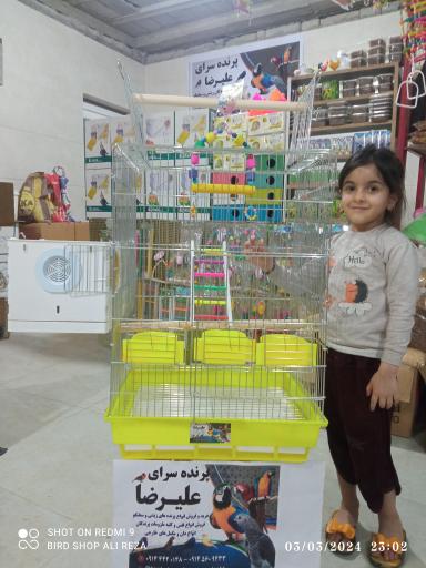 پرنده سرای علیرضا 