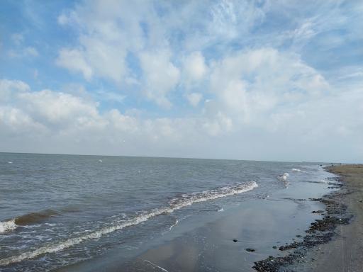 عکس نکا رود