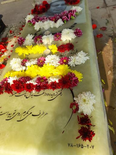 عکس مزار مجید محمدی