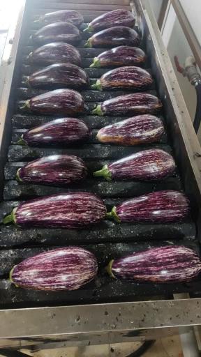 عکس دهکده سبزی 