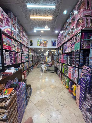 عکس پخش اسباب بازی رهام تویز