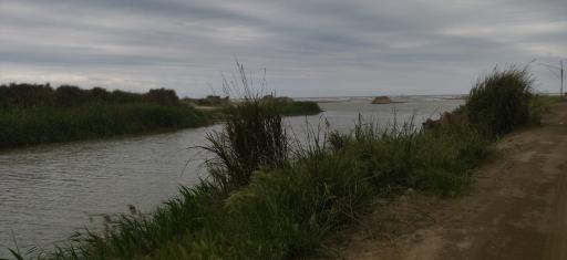 عکس نکا رود