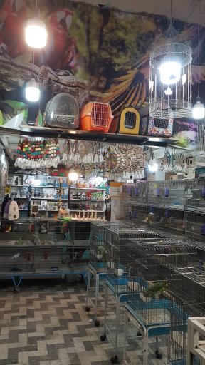 عکس دنیای پرندگان زینتی