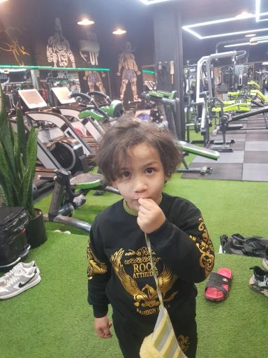 عکس باشگاه بدنسازی تن ساز