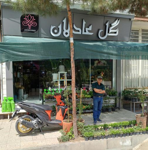 عکس گل فروشی عادلان 
