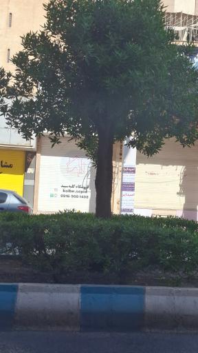 عکس فروشگاه لوازم خانه و آشپزخانه کلبه سپید