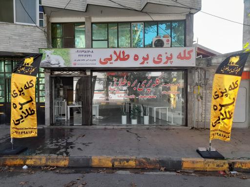 عکس کله پزی بره طلایی