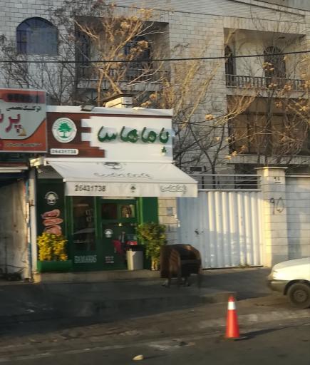 عکس فست فود باماهاس