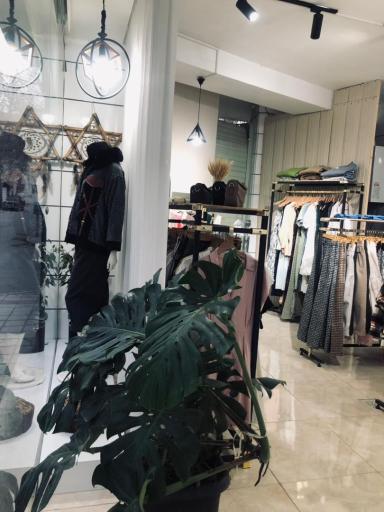 عکس آلا مزون