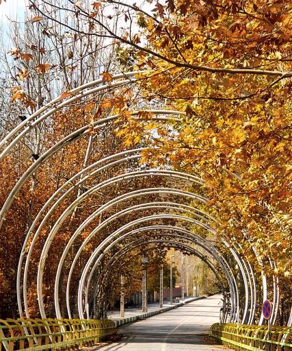 عکس پل وشمندجان بشمگون