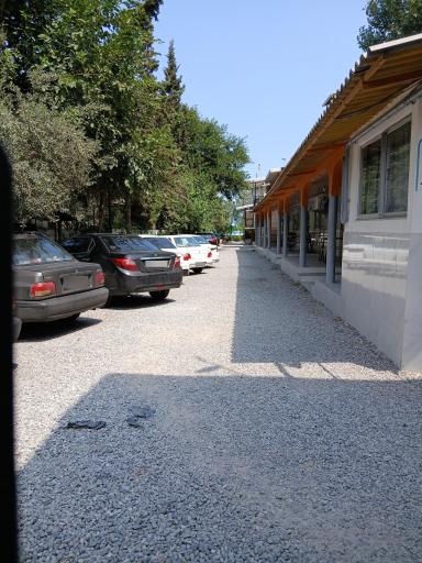 عکس متل شنهای سفید