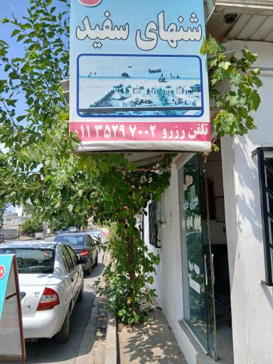 عکس متل شنهای سفید