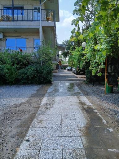 عکس متل شنهای سفید