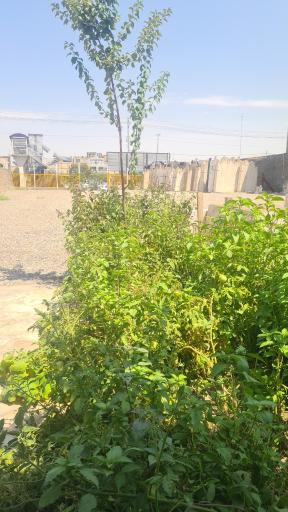 عکس سنگستان کویر