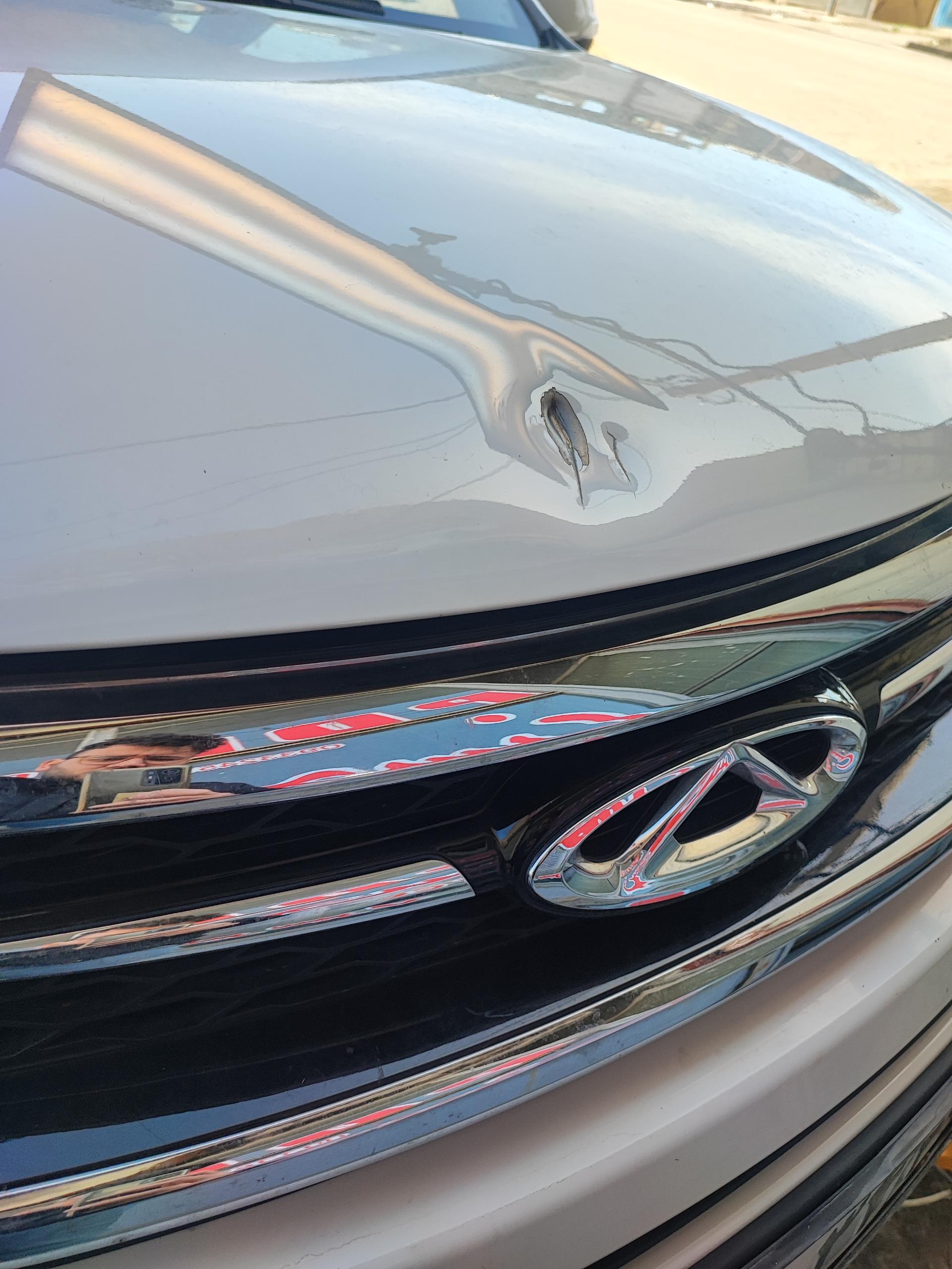 عکس صافکاری تخصصی محسن