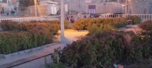 عکس اسفستان