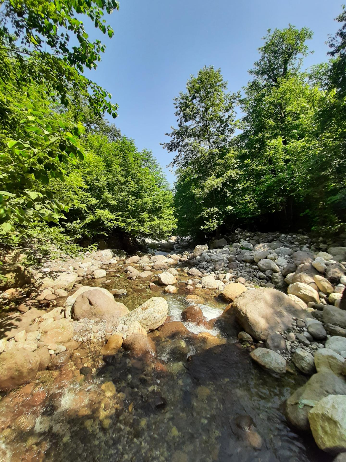 عکس چشمه تیلاکنار