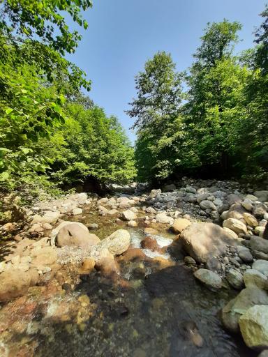 عکس چشمه تیلاکنار