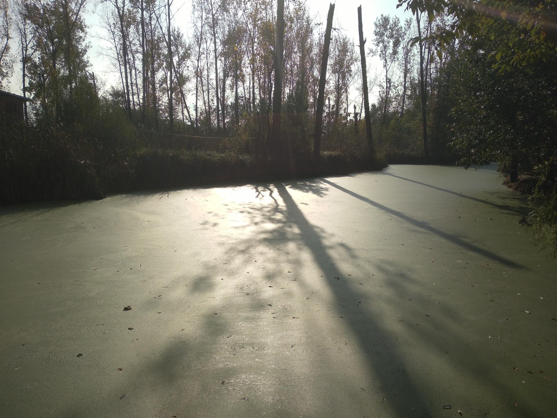 عکس قایق سواری سراوان