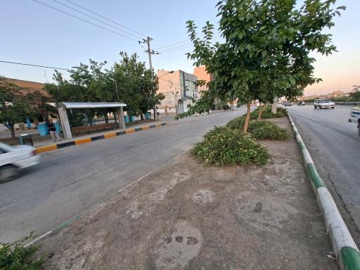 عکس  شهید چراغچی 29