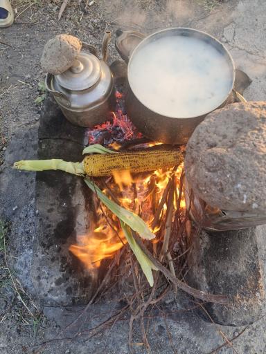 عکس اسفستان