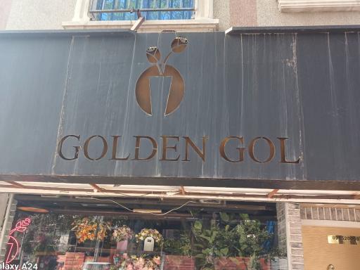 عکس گلدن گل