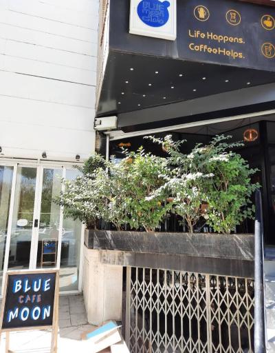 عکس کافه بلومون