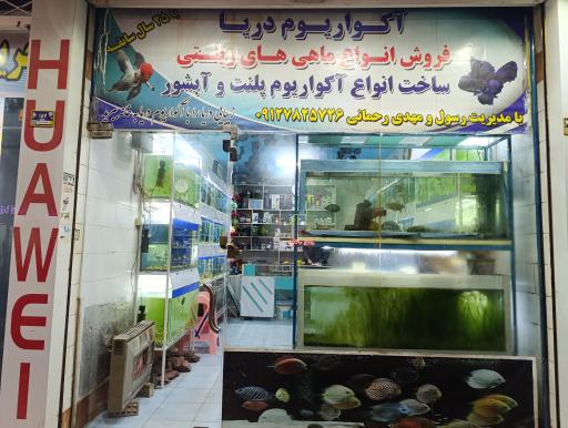آکواریوم دریا