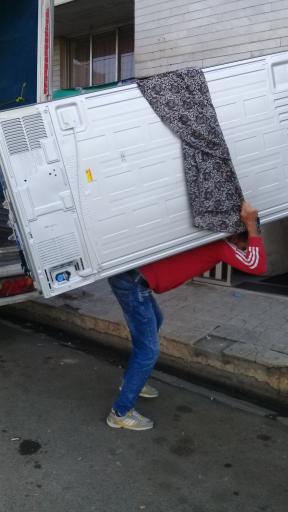 عکس باربری پرند رباط کریم