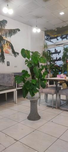 عکس رستوران ارمغان