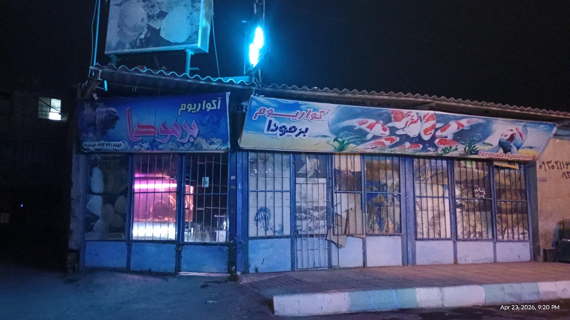 عکس آکواریوم برمودا