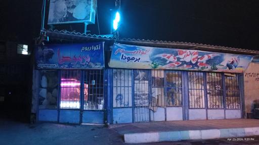 عکس آکواریوم برمودا