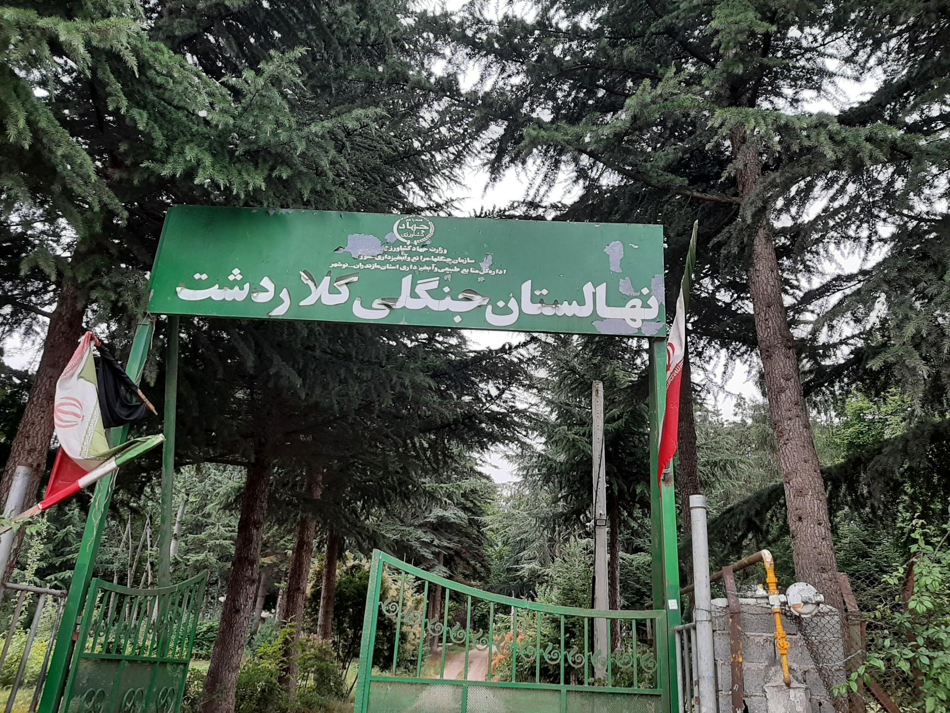 عکس نهالستان جنگلی کلاردشت