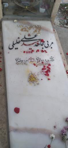 عکس مزار شهید علی خلیلی