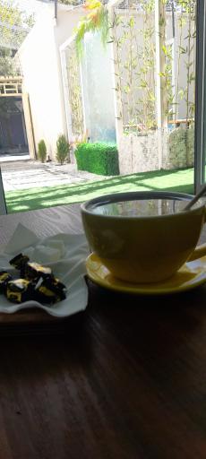 عکس کافه کالوش