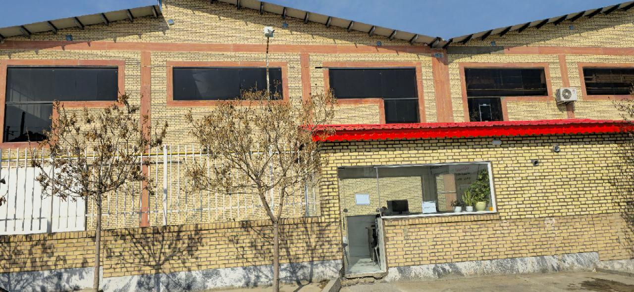 عکس نبات صائب